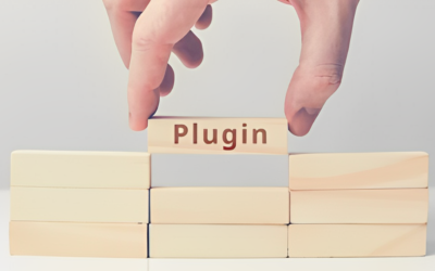 Comment un plugin peut vous simplifier la gestion de la nLPD ? 