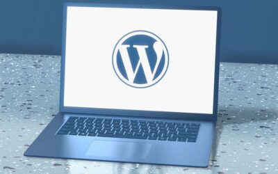 Comment le Plugin WordPress NLPD Äso! simplifie la Gestion des Cookies pour la Conformité à la Loi Suisse sur la Protection des Données